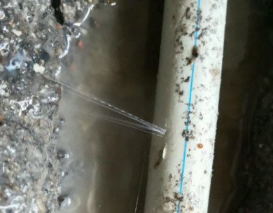 定西市测漏水哪家好