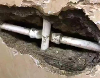 定西市测漏水哪家好