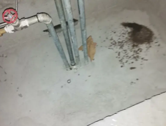 定西市卫生间测漏水价格明细