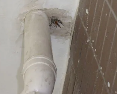 定西市漏水检测哪家好